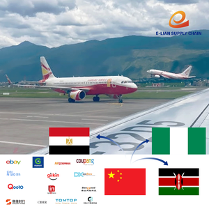 Taux de fret minimum pour le transport aérien (service DDP) de la Chine au Nigeria, en Égypte et au Kenya. Agence d'expédition de fret - Product Image 5