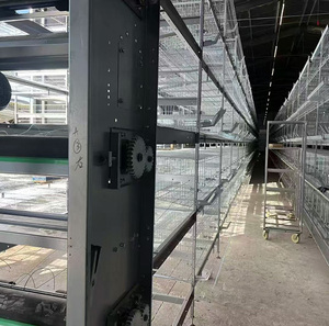 Offre Spéciale : Système de cages galvanisées <span class=keywords><strong>à</strong></span> chaud de type H pour l'élevage de poules pondeuses, capacité 160 poulets par cage, pour ferme avicole - Product Image 3