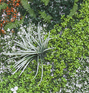 Uv kháng nhân tạo tường nhà máy trong nhà/ngoài trời màu xanh lá cây tường loại cỏ Backdrop trang trí hoa-loại Faux sử dụng ngoài trời - Product Image 3