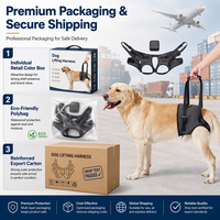 Harnais de soutien dorsal respirant et durable pour chien en polyester, idéal pour la rééducation des chiens âgés et souffrant d'arthrite, avec logo personnalisé OEM/ODM
