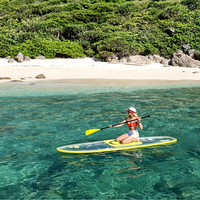 Planche de SUP LED transparente haute résistance 250 kg, 10 couleurs au choix, vente en gros, planche de surf à pagaie