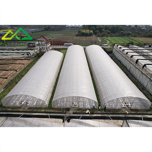 Single Span Hoop Tunnel Greenhouse Kit PE | Cost-Effective Seasonal Extension Solution for Small-Scale Hydroponic Farming