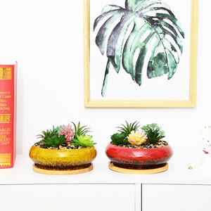 Pot succulent de jardinière de bol <span class=keywords><strong>bas</strong></span> en céramique blanche avec plateau en bambou Pot de <span class=keywords><strong>fleur</strong></span> demi-rond à fond peu profond - Product Image 4