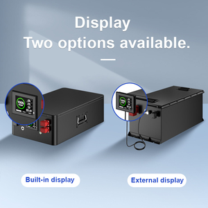 High Quality Golf Battery 48V Pack 24V 36V 72V 200AH 300Ah 48v Lithium Cart - Product Image 5