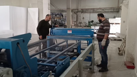 Ligne automatique de panneaux en treillis métallique EPS 3D, équipement de base de moteur PLC chinois à économie d'énergie légère et ignifuge pour une construction rapide