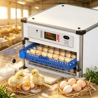Machine d'incubation automatique d'œufs de poulet en ligne, incubateurs industriels d'œufs pour élevages avicoles