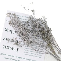 AYOYO Plantes séchées Millet Fruit Fleur Couleur naturelle pour décorations de bougies et décorations pour la maison eucalyptus fruit