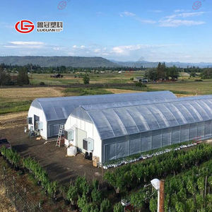 सब्जियों/फूलों/बगीचे के लिए ग्रीनहाउस प्लास्टिक यूवी फिल्म कृषि ग्रीनहाउस फिल्म - Product Image 5
