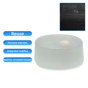 Fantomma Compatta per Biopsia ad Ultrasuoni, Blocco di Tessuto Semi-Trasparente per l'Addestramento ai Punti di Pungitura per Principianti - Product Image 2