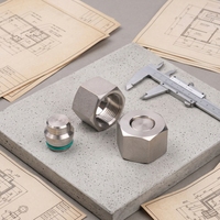 Bouchon d'étanchéité hexagonal femelle en acier inoxydable avec joint torique et filetage interne, résistant à la corrosion, pour raccord hydraulique