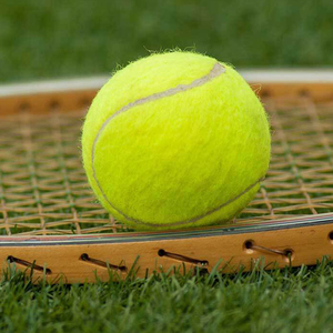 Pelotas de Tenis y Pádel de Goma Duradera para Competición, 45% Lana, Deportivas, Rebote de 135-145 cm, Tubos a Granel - Product Image 5