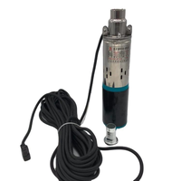 Pompe à eau solaire 1 pouce DC 12V/24V, pompe d'irrigation agricole, pompe à eau de puits profond