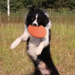 Customized Durable Soft Non-Slip Dog Flying Disc TPR Game Frisbeed Pet Bite Resistant Frisbeed Outdoor Training Dog Toys