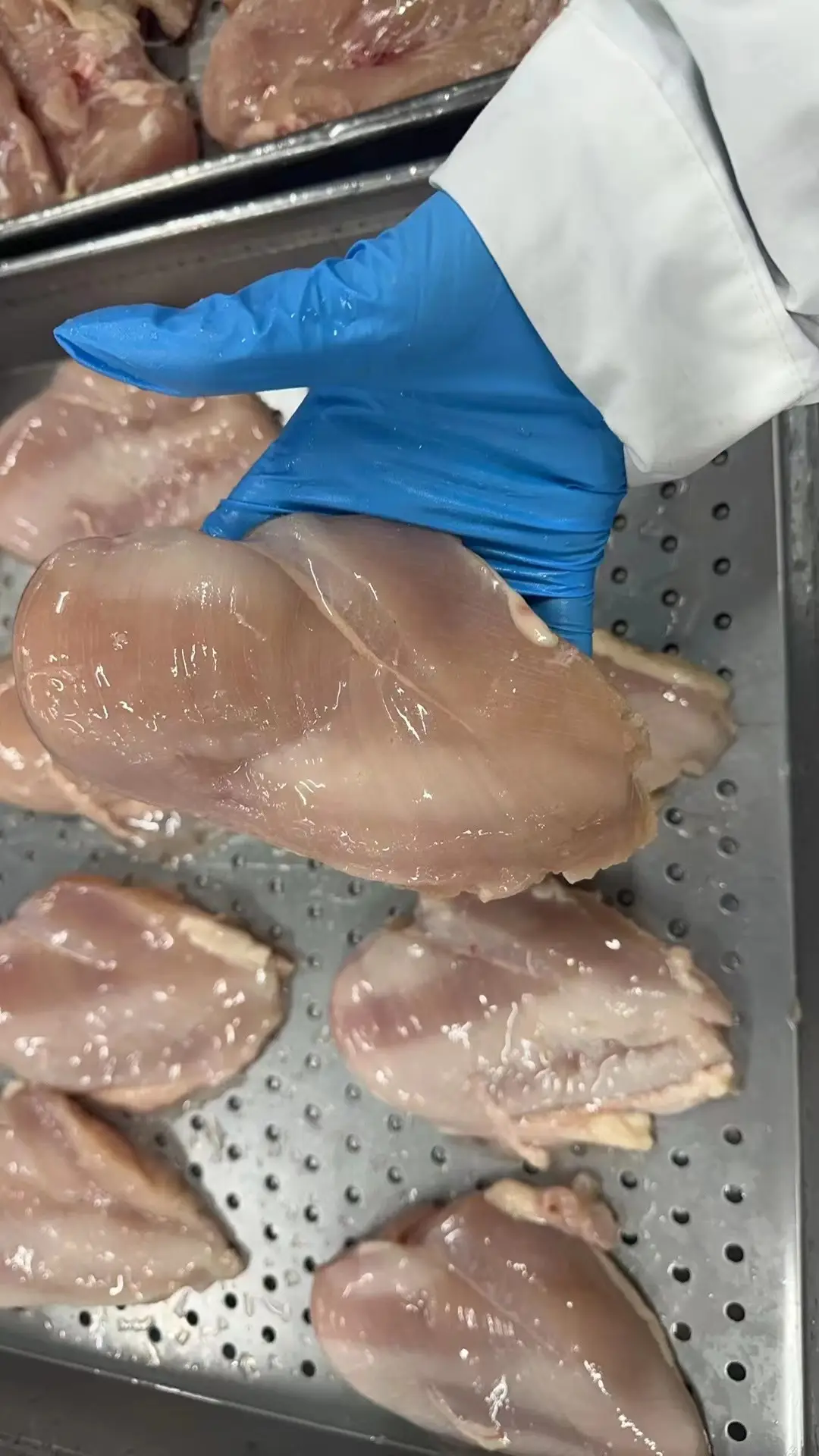 冷凍鶏の胸肉