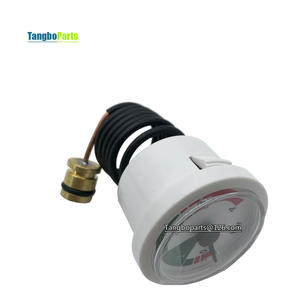 Accessoires pour chaudières à gaz Manomètre capillaire pour chaudières à gaz <span class=keywords><strong>Ferroli</strong></span> Remplacement - Product Image 1