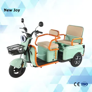 2024 Factory Direct Sales High Quality 1000w Triciclo Electrico Common For Passenger And Cargo Transportation 3 Wheel Electric