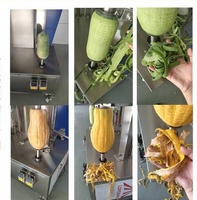 Elektrische Mango Pompoen Schiller Fruit Rauwe Groene Mango Snijder voor Groenten Fruit Schilmachine