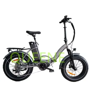 QUEENE/Neuankömmling 20 Zoll fetter Reifen Mid Drive 48 V250W 500W zentrales Elektro fahrrad Falt-und Fahrrad