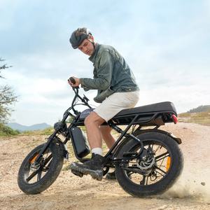 จักรยานไฟฟ้า ENGWE M1 มาตรฐาน EU แรงบิด 65 นิวตันเมตร ดีไซน์แบบมอเตอร์ไซค์ - Product Image 1