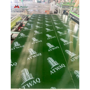 <span class=keywords><strong>Contreplaqué</strong></span> en plastique PP vert 4X8 18mm pour <span class=keywords><strong>panneau</strong></span> de coffrage et centre commercial - Product Image 2