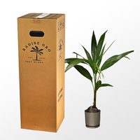 Boîtes d'expédition en carton ondulé kraft écologiques et personnalisées pour plantes vivantes, vente en gros, pour fleuristes