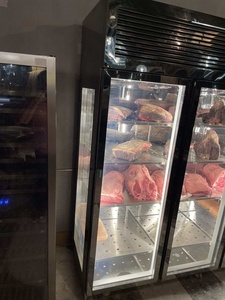 Refrigerador para Maduración en Seco de Carne de Res, Refrigerador para Maduración de Carne - Product Image 6