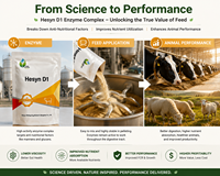 Complexe multi-enzymes fermenté d'Aspergillus Oryzae pour réduire le FCR et la diarrhée, améliorer la digestibilité des aliments pour l'élevage porcin et avicole