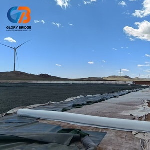 Géotextile non tissé industriel PP anti-âge Glory Bridge de haute qualité, 250g/m², garantie 5+ ans, écologique pour les rivières - Vente chaude - Product Image 2