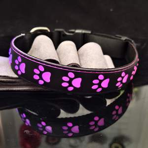 Coleira de Cachorro <span class=keywords><strong>LED</strong></span> de Luxo Recarregável USB HY <span class=keywords><strong>2026</strong></span> Nova e Mais Recente com Fitas e Padrão Sólido para Segurança Noturna Ajustável e com Luzes Piscantes - Product Image 6