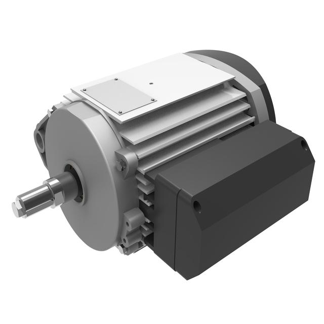 Asynchronous Motor 2.2 kw 230V 50hz 2780rpm Single Phase Electric Motors