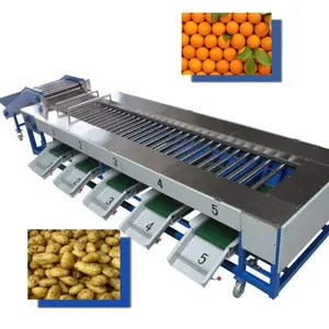 Máquina de clasificación de fruta redonda, fabricante CANMAX