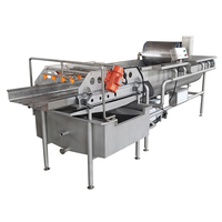 Groente & Fruit Processing Machines Salade Groente Productielijn Quick Bevriezing Verwerking Machine