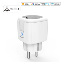 HomeKit SmartThings Fonctionne avec la prise de courant intelligente Siri Alexa Matter Smart WiFi Mini Socket