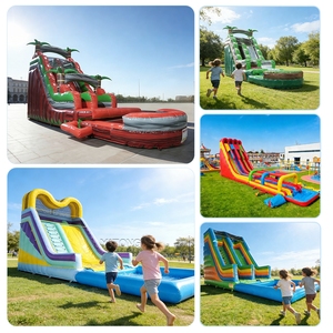 Toboganes de Agua Comerciales, Piscinas Inflables para Exteriores, Tobogán de Agua Inflable Gigante en Oferta para Adultos - Product Image 4