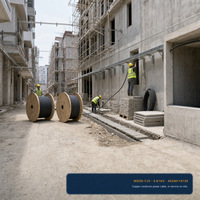 Câble d'alimentation pour la rénovation des quartiers urbains et la construction électrique, directement de l'usine, qualité standard GB, personnalisable 4*240+1*120