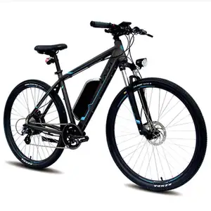 Fat Tire E-Bike Erwachsene Bürstenloser Motor Electric Mountain E-Bike 48V Größere Batterie Leistungs starke 7-Gang-Batterie