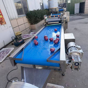 Machine à éplucher et à couper les oignons industrielle Machine à sécher les oignons Prix de la ligne de production de rondelles d'oignons frits - Product Image 4