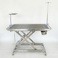 Table d'examen vétérinaire en acier inoxydable avec hauteur réglable et surface antidérapante pour chiens, chats et petits animaux