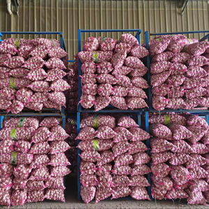 Bawang Putih Segar Murni atau Normal Sayuran Segar Harga Grosir Alho Ail Ajo Ajo Diekspor Dari Cina - Product Image 1