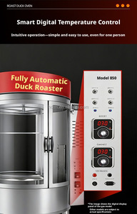 Commercial Gas-Powered Nut Roaster 50-100 kg/h SUS 304 Stainless Steel Adjustable <b>Thermostat</b> Push Button <b>Control</b> - Product Image 2