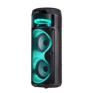 Alto-falantes Rádio Duplo 8 Polegada Powered Speaker com configurações opcionais 12V/5500mAh Bluetooth Speaker com luz elegante