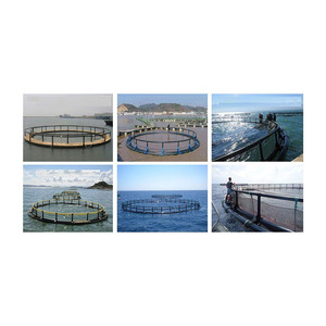 Jaula Flotante para Peces de 5*5m con Marco de HDPE para Tilapia en el Lago <span class=keywords><strong>Victoria</strong></span> - Product Image 4