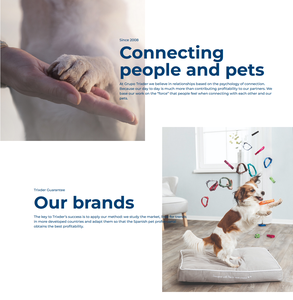 Spazzola Morbida con Setole Delicate, Strumento per la Toelettatura dei Gatti in Plastica 7 x 16 cm - Product Image 5