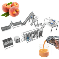 Kosteneffectieve Perzik/Abrikoos/Pruim/Avocado Pulp Puree Extractor Machine Vruchtensap Concentraat Productielijn