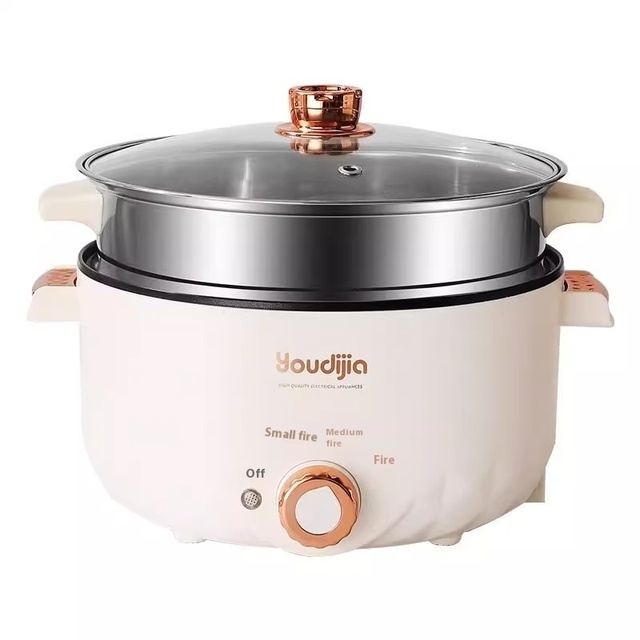110V Multifunctional Electric Skillet with Tempered Glass Lid for Household Home Dormitory Travel in Hong Kong Japan South Korea