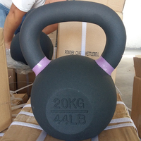 Logo personnalisé grand poids vente en gros ensemble Kettlebell 50kg Kettlebell