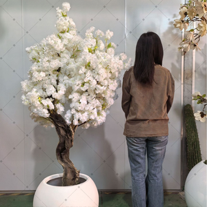 <span class=keywords><strong>Tik</strong></span> Tok YouTube Instagram Dernières Ventes Chaudes Arbre de cerisier artificiel rose et blanc sur mesure pour la décoration intérieure - Product Image 4