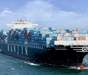 Agente DE TRANSPORTE PROFESIONAL DE CARGA DE Have Space desde China a Países Bajos/Francia/Italia por transporte marítimo