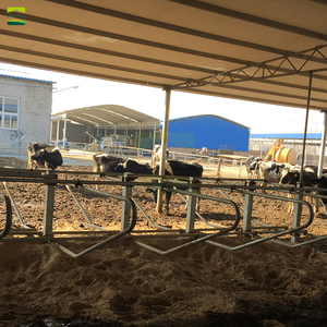 Proyecto Llave en Mano para Granja Lechera <span class=keywords><strong>Holstein</strong></span> de 500 Vacas: Diseño de Planta, Establos, Sistema de Ordeño, Tratamiento de Estiércol y Equipamiento para Cría de <span class=keywords><strong>Ganado</strong></span> - Product Image 5