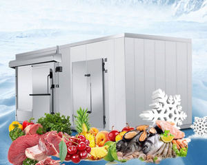 Cámara de Congelación Personalizada Copeland Emerson para Frutas Frescas: Fresas, Melocotones, Lichis, Mangos, Plátanos - Product Image 4